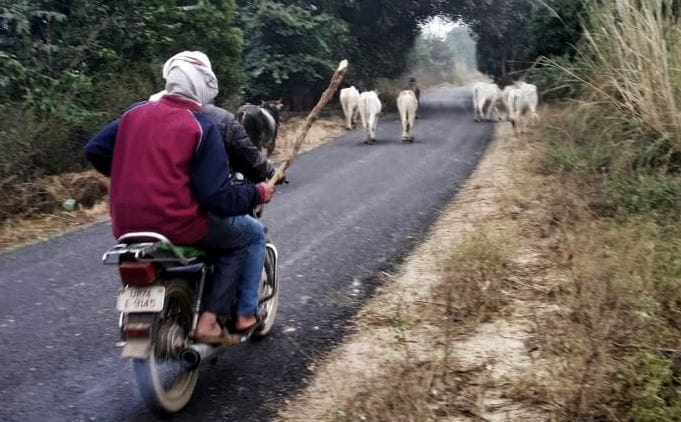 bheeshan sardee mein kisaan jindagee bachaen ya phasal
