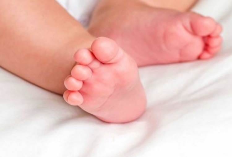 dead body of a news born baby found in parking of trauma campus in lucknow