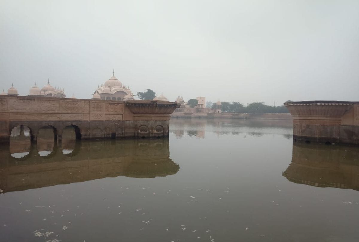 Hundreds of fish died in Kusum Sarovar of Govardhan