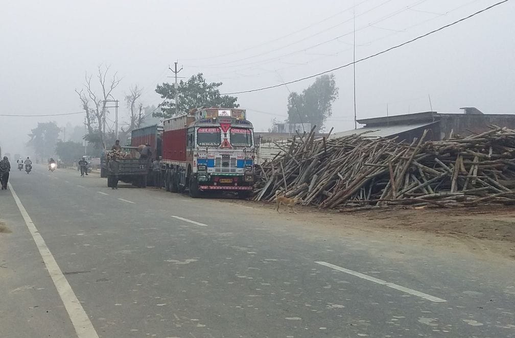 Wood dumping on Buddhist circuit tracks