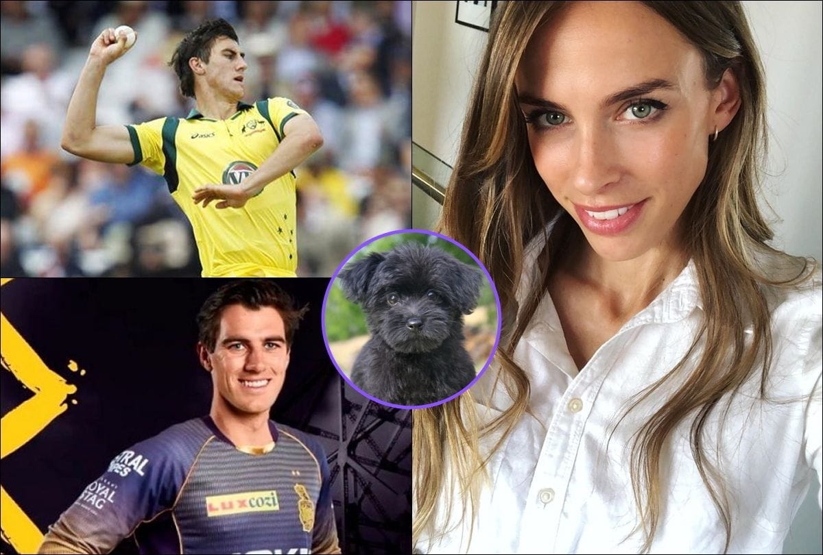 Pat Cummins will Buy more toys for the dog after IPL auction, suggested by girlfriend