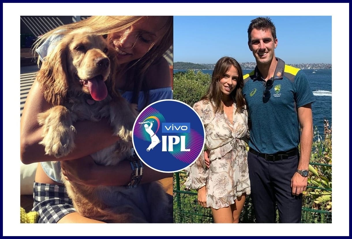 Pat Cummins will Buy more toys for the dog after IPL auction, suggested by girlfriend