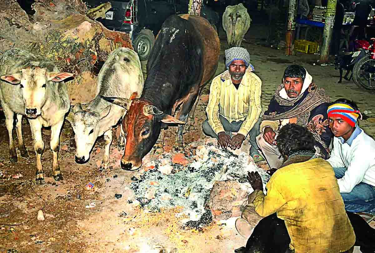 17 deaths due to cold in central UP and Bundelkhand