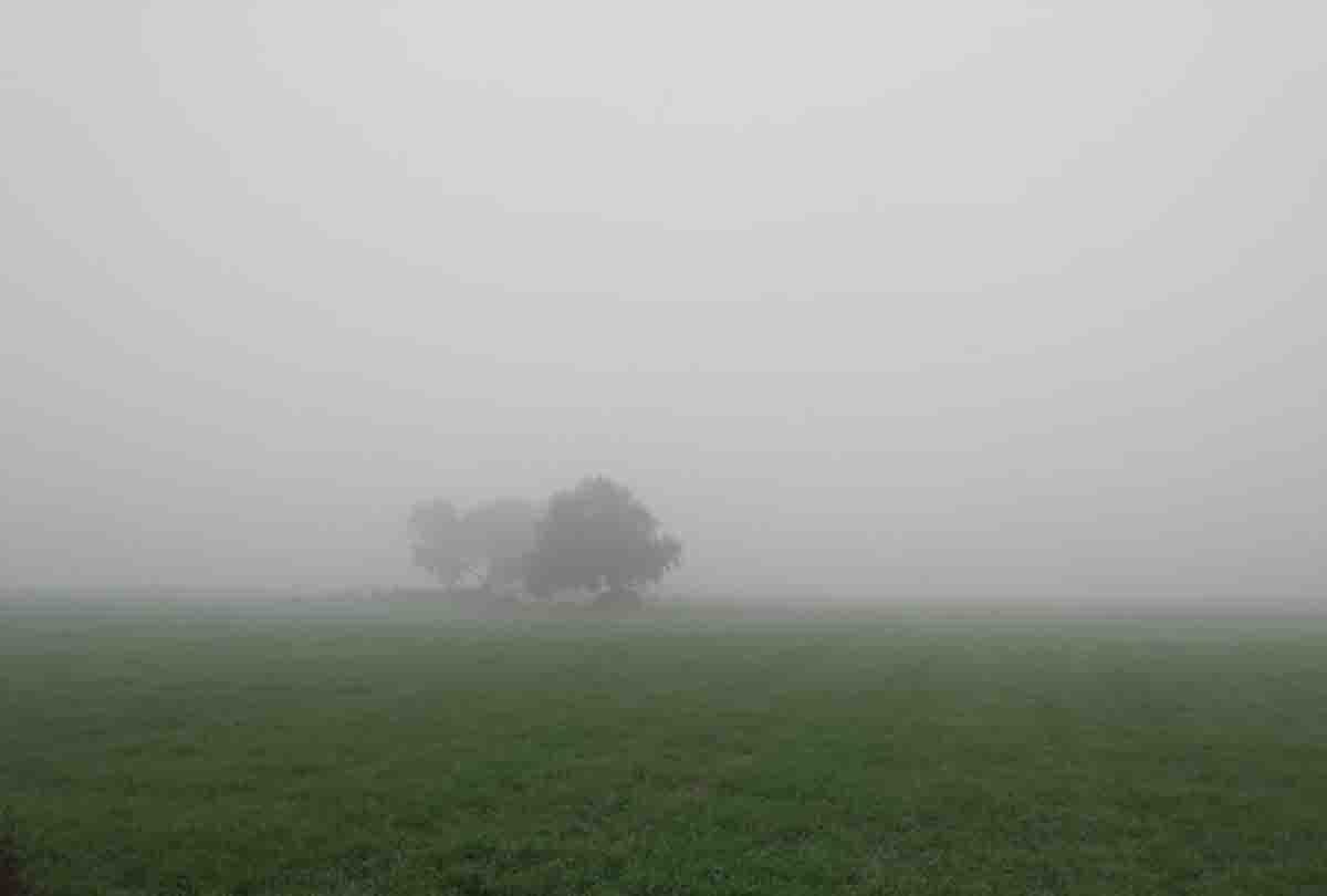 17 deaths due to cold in central UP and Bundelkhand