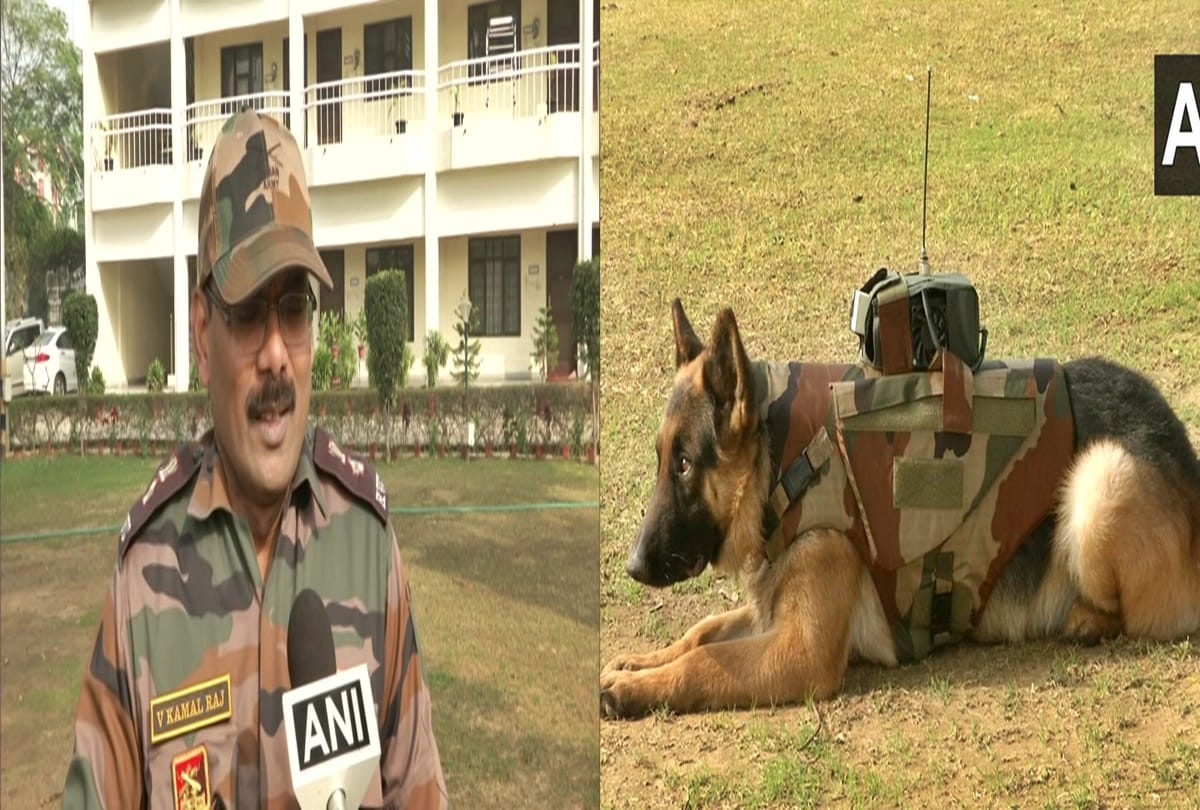 Lieutenant colonel VK Raj developed audio-video surveillance system for Army dogs