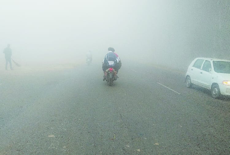 Cold wave broken record of five year in Haryana
