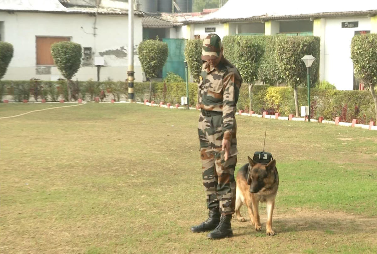 about jammu kashmir DSP Devinder Singh who arrested with terrorist