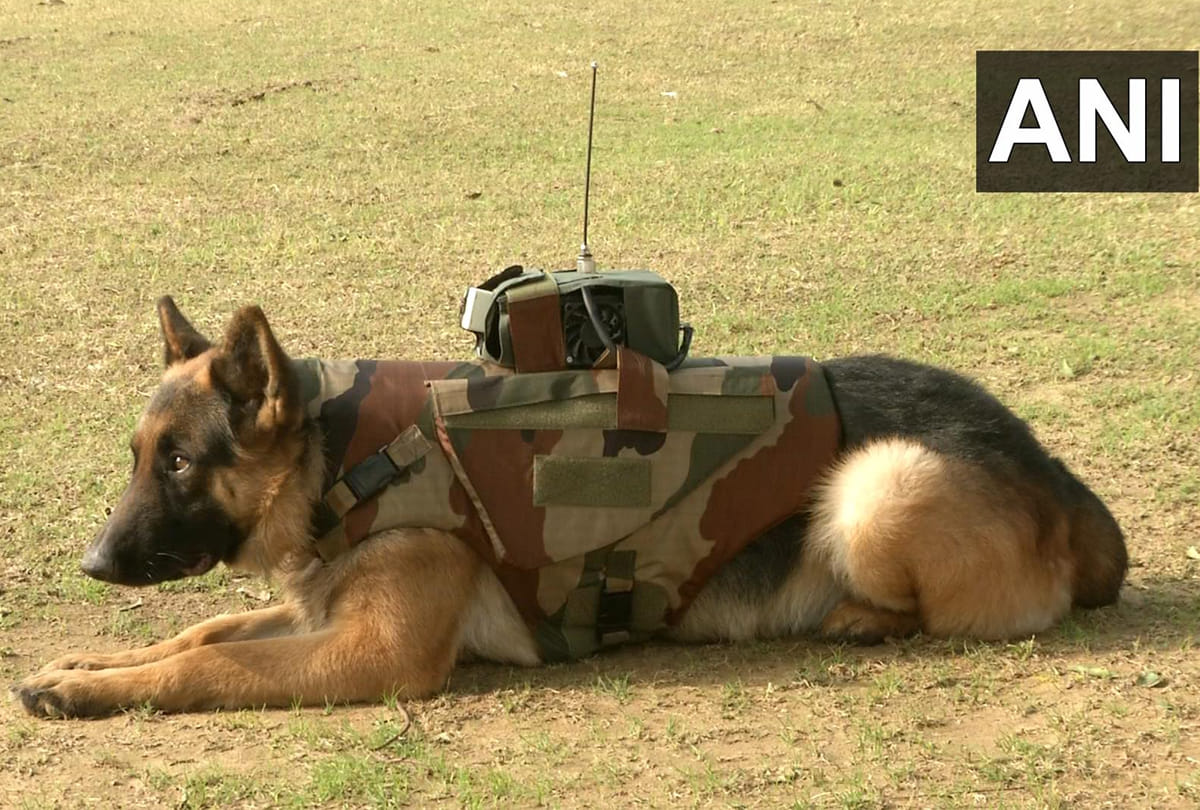 Army Dog Unit developed audio-video surveillance system with bullet proof jacket for Army dogs
