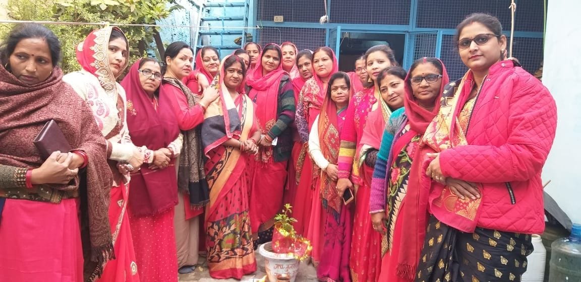 Tulsi day celebrated by worshiping, told the merits