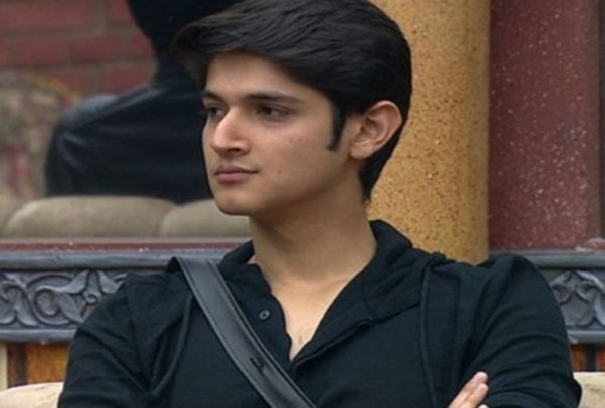 Flights In India during lockdown Rohan Mehra Karanvir Mehra Himansh Kohli Radhika Madan and Partha Samathan has travel by flight