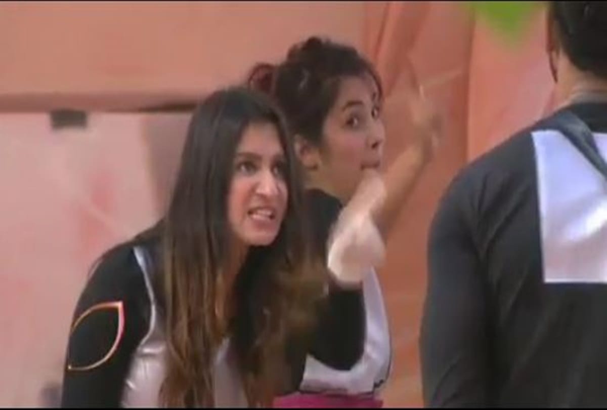 Bigg Boss 13 Shahnaz Kaur Gill And Vishal Aditya Singh Stuck Into Ugly Fight in Captaincy Task