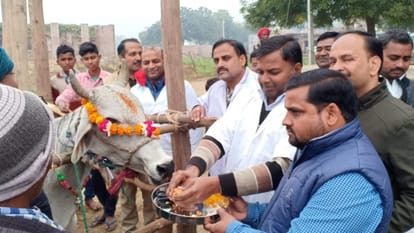 मेवामऊ गांव में गाय का पूजन करती चिकित्सकों की टीम।