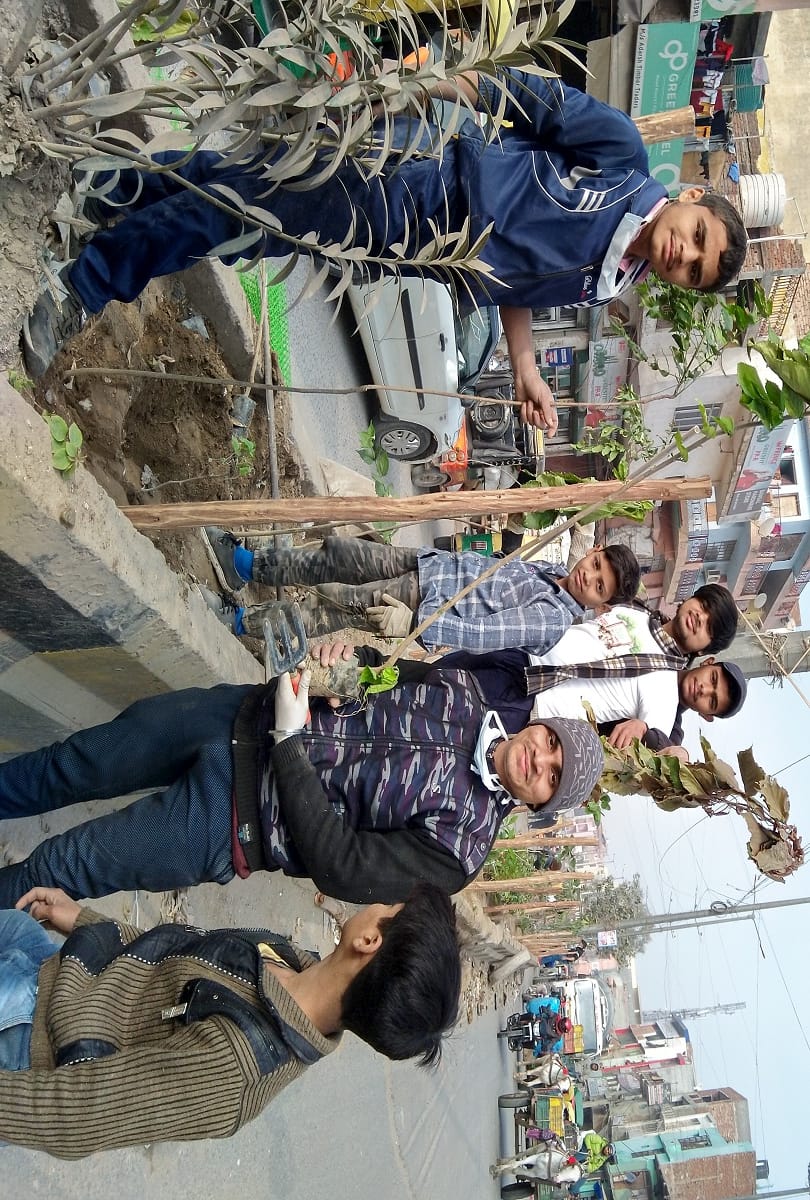 youth of karawal nagar made christmas special through planting trees on footpath