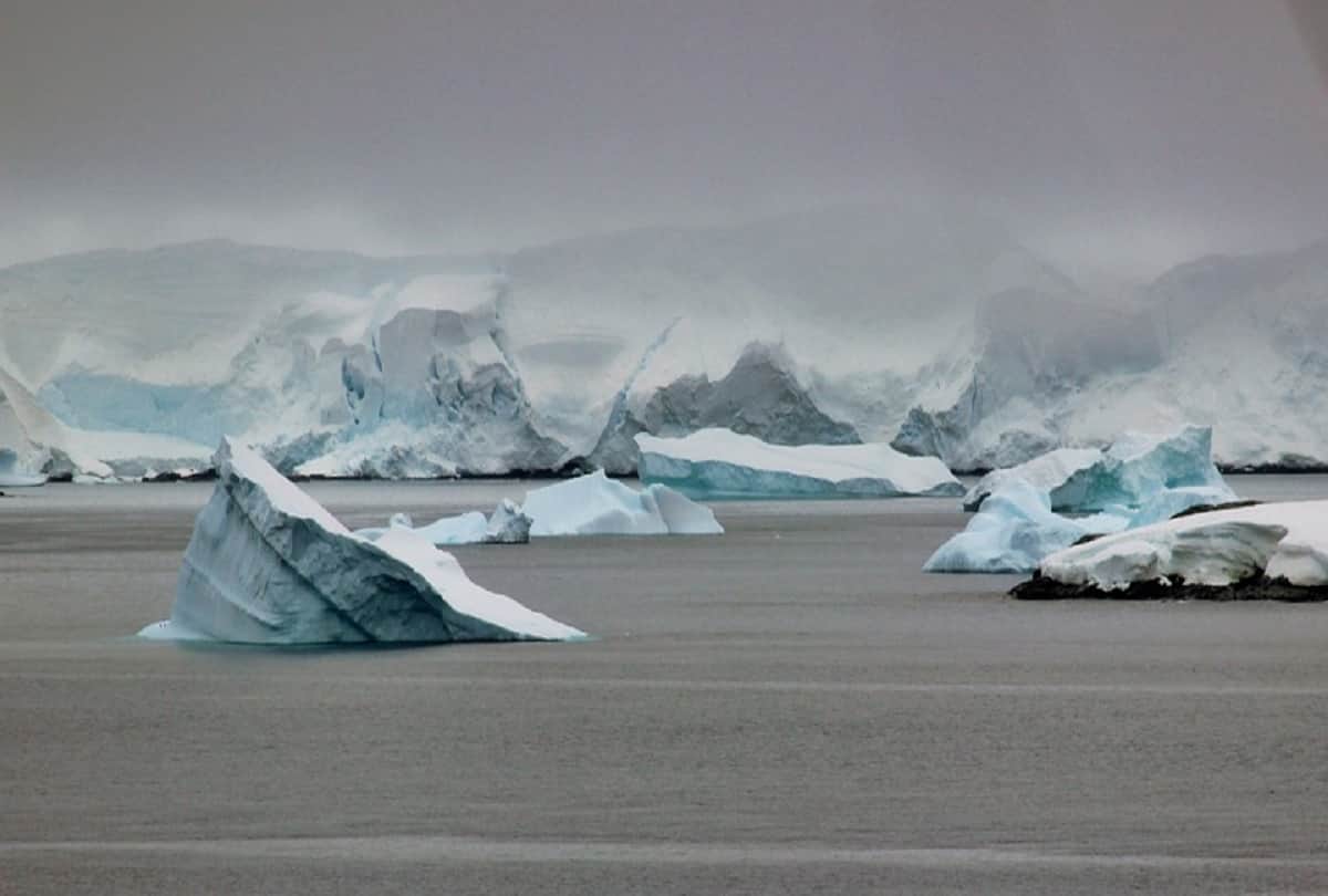 antarctica peninsula temperature will increase by 2044 due to global warming climate change