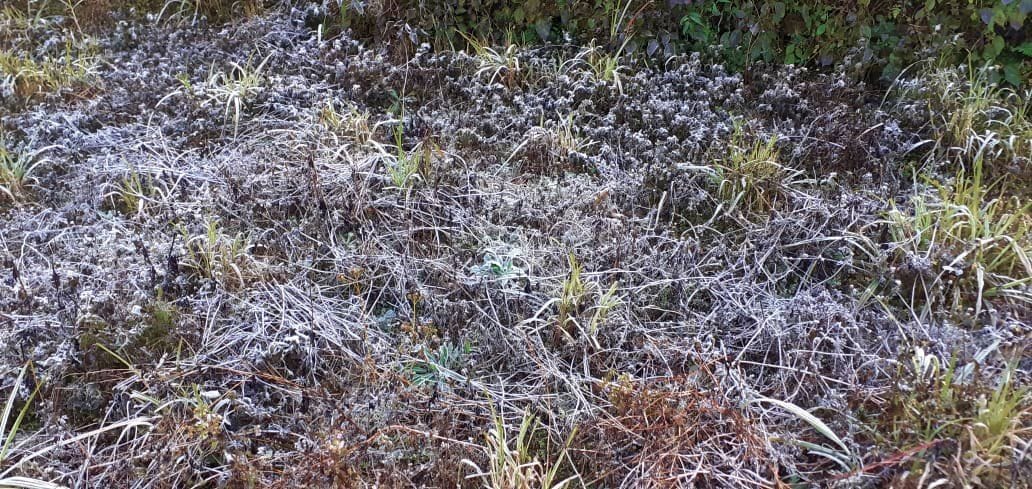Pithoragarh temperature near zero