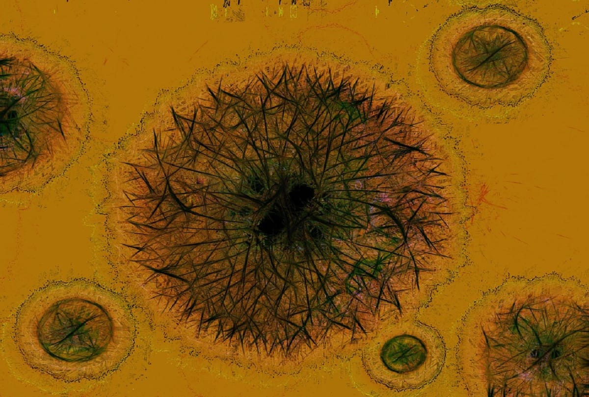 oldest creatures in the world who have been alive for millions of years