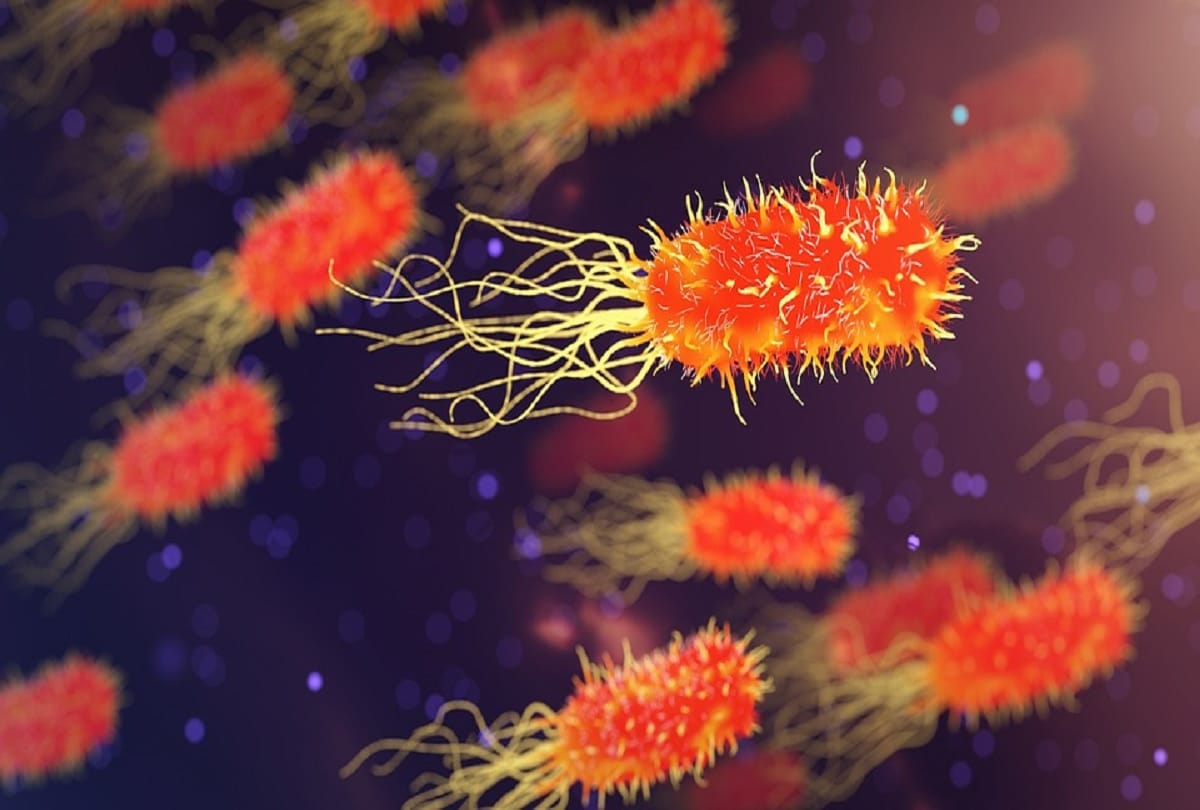 According to Study Bacteria store memories and pass them on to generations