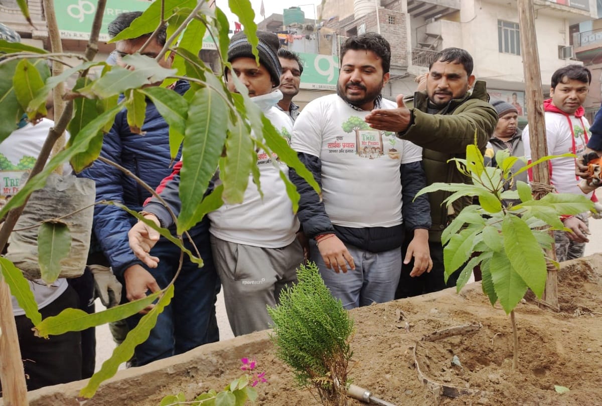 youth of karawal nagar made christmas special through planting trees on footpath