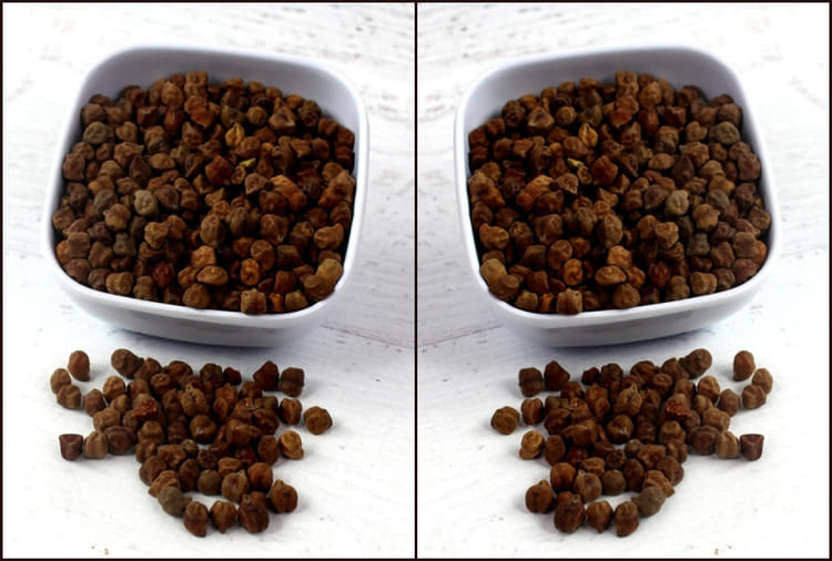 Kala Chana Health Benefits Of Black Chickpeas Kale Chane Ke Fayde Amar Ujala Hindi News Live