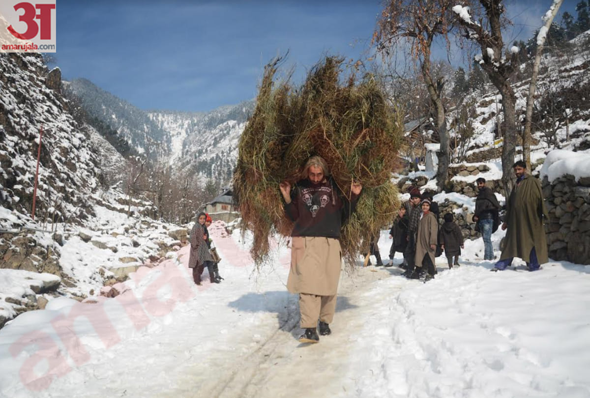 Jammu Kashmir Temperature Hiked, Latest Photos Of Weather Of Jammu Kashmir Snowfall