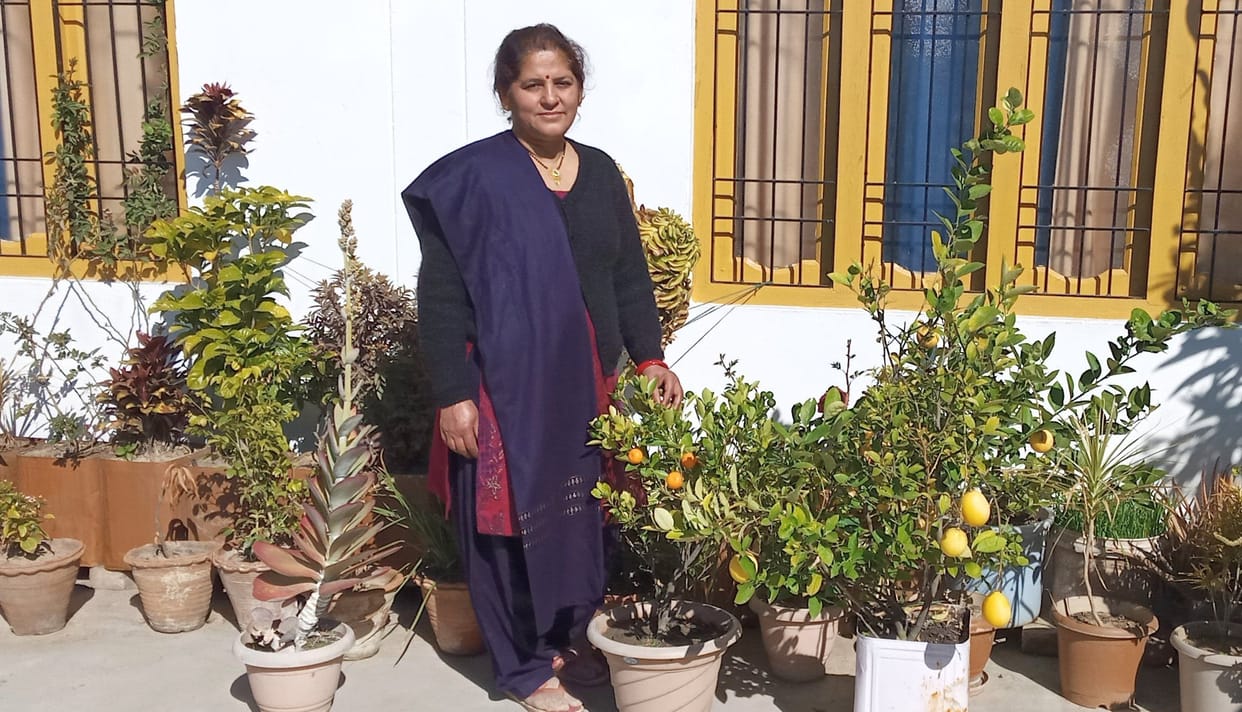 Kamla made a garden on the roof of the house