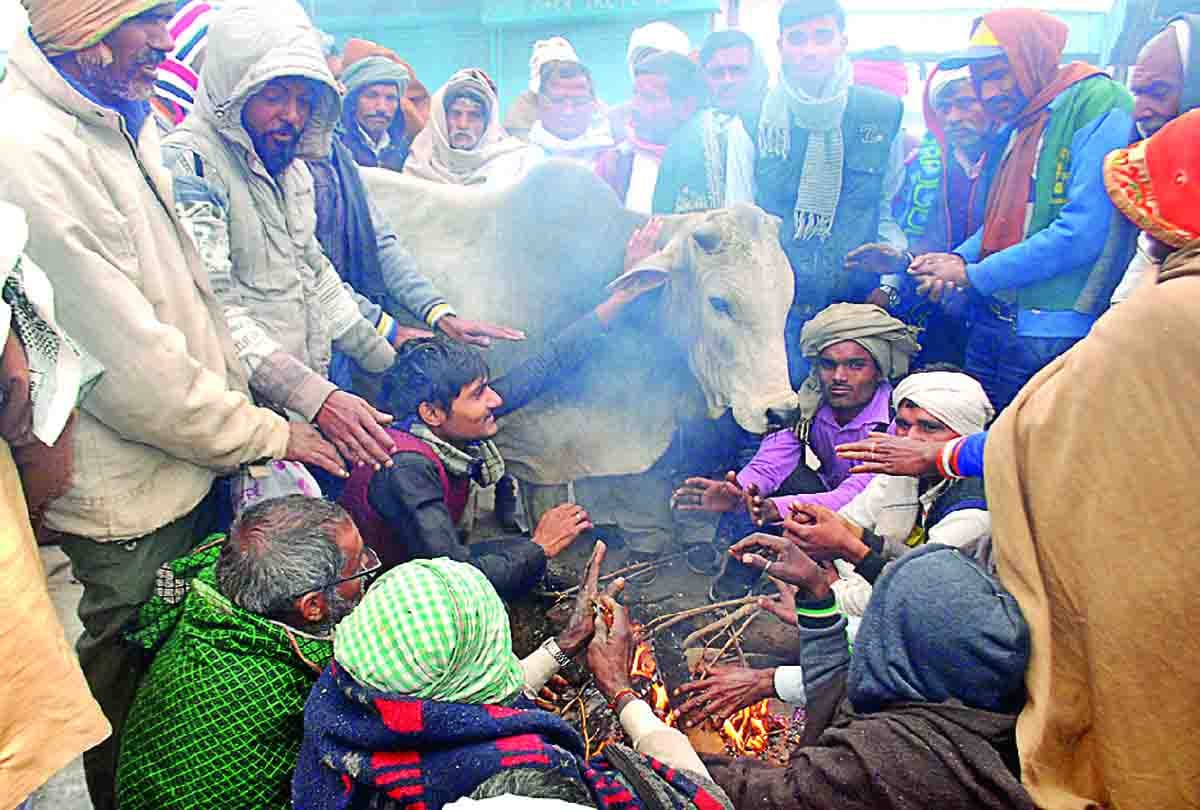 31 people died due to cold in 13 districts of uttar pradesh