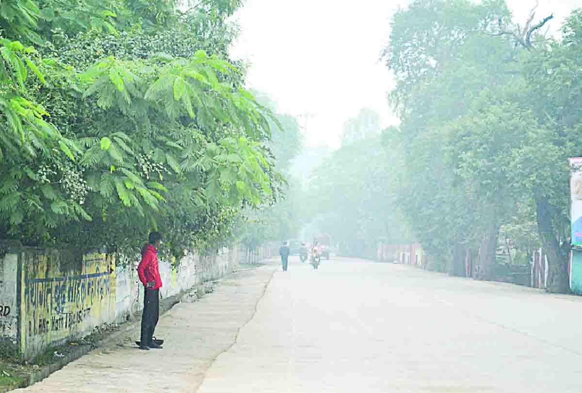 31 people died due to cold in 13 districts of uttar pradesh