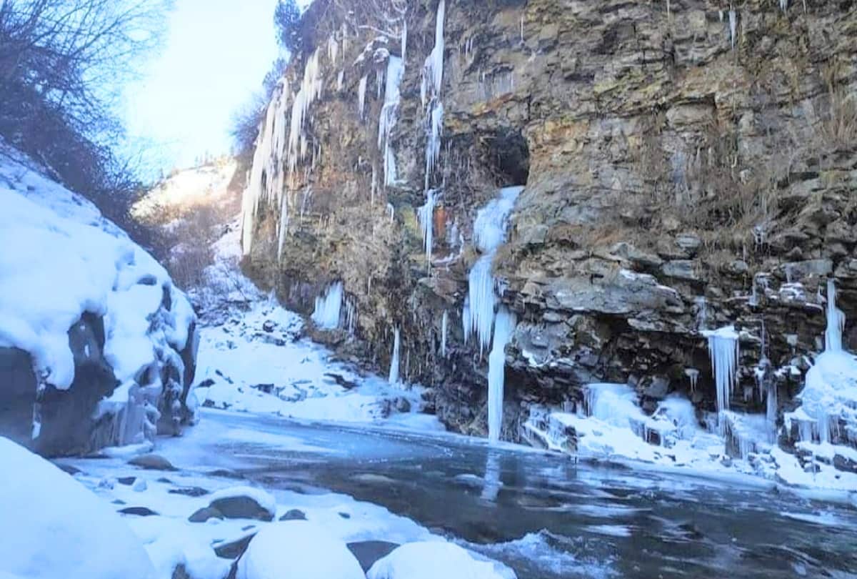 himachal weather: warning of dense fog and intense cold wave for two days