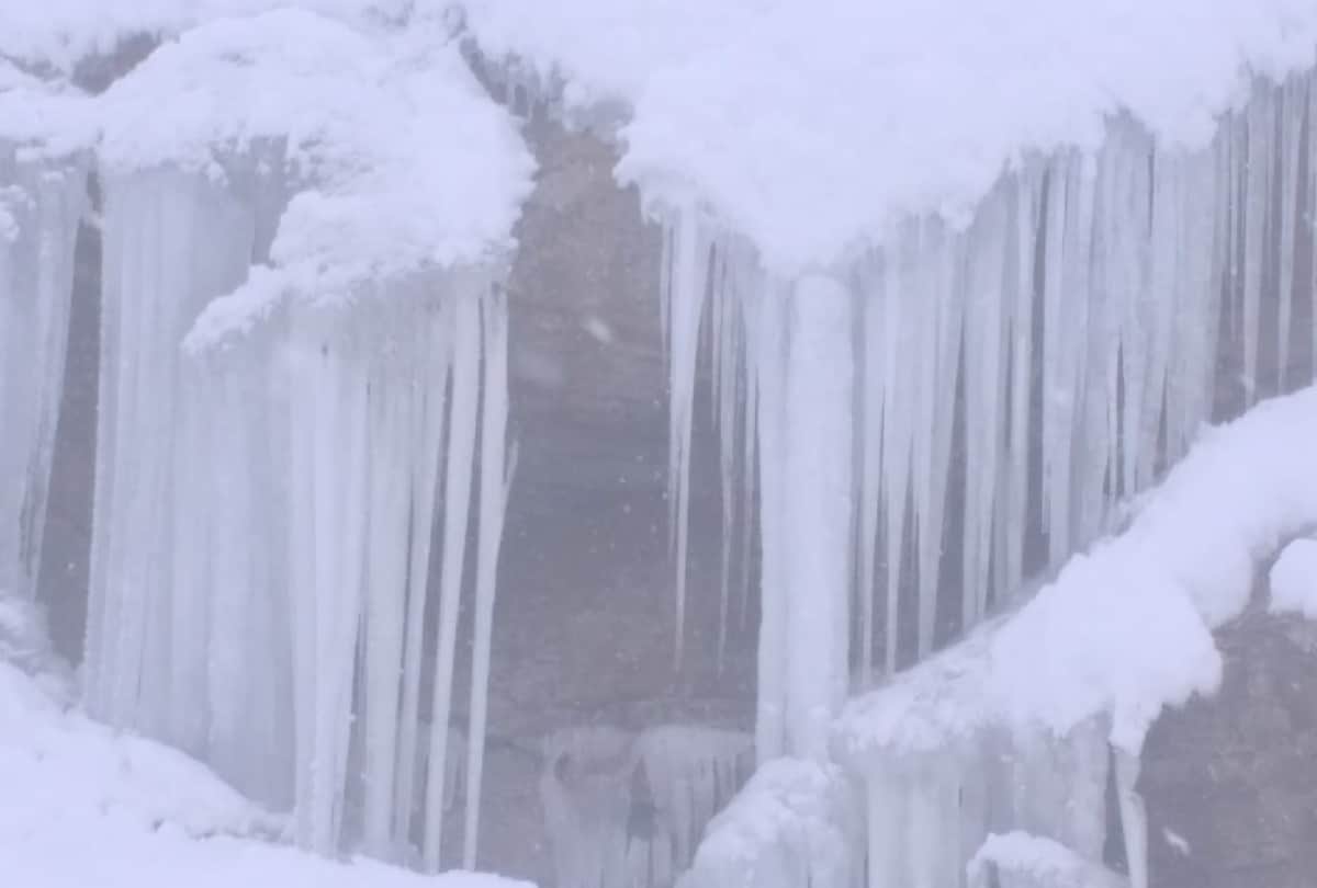 himachal weather: warning of dense fog and intense cold wave for two days