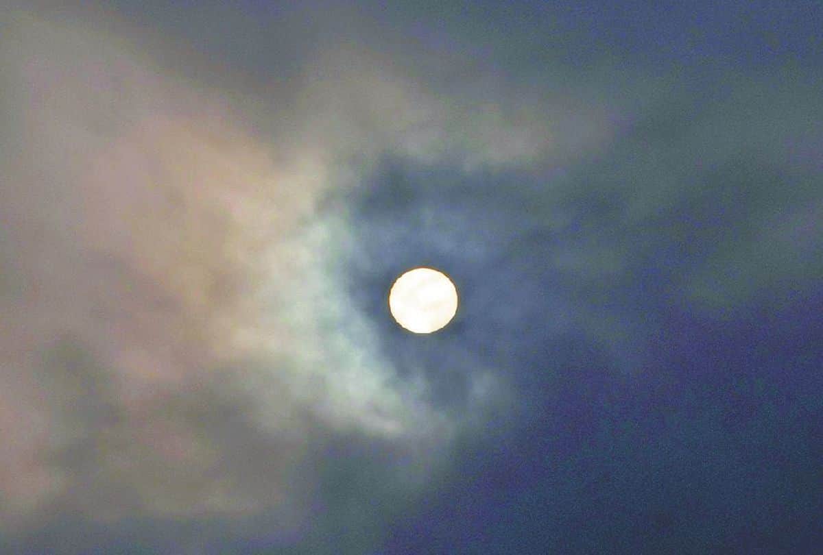 Agra weather change on makar sankranti