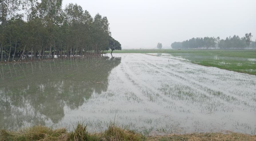Khandi kati, water filled in Akbarpur Daboli village