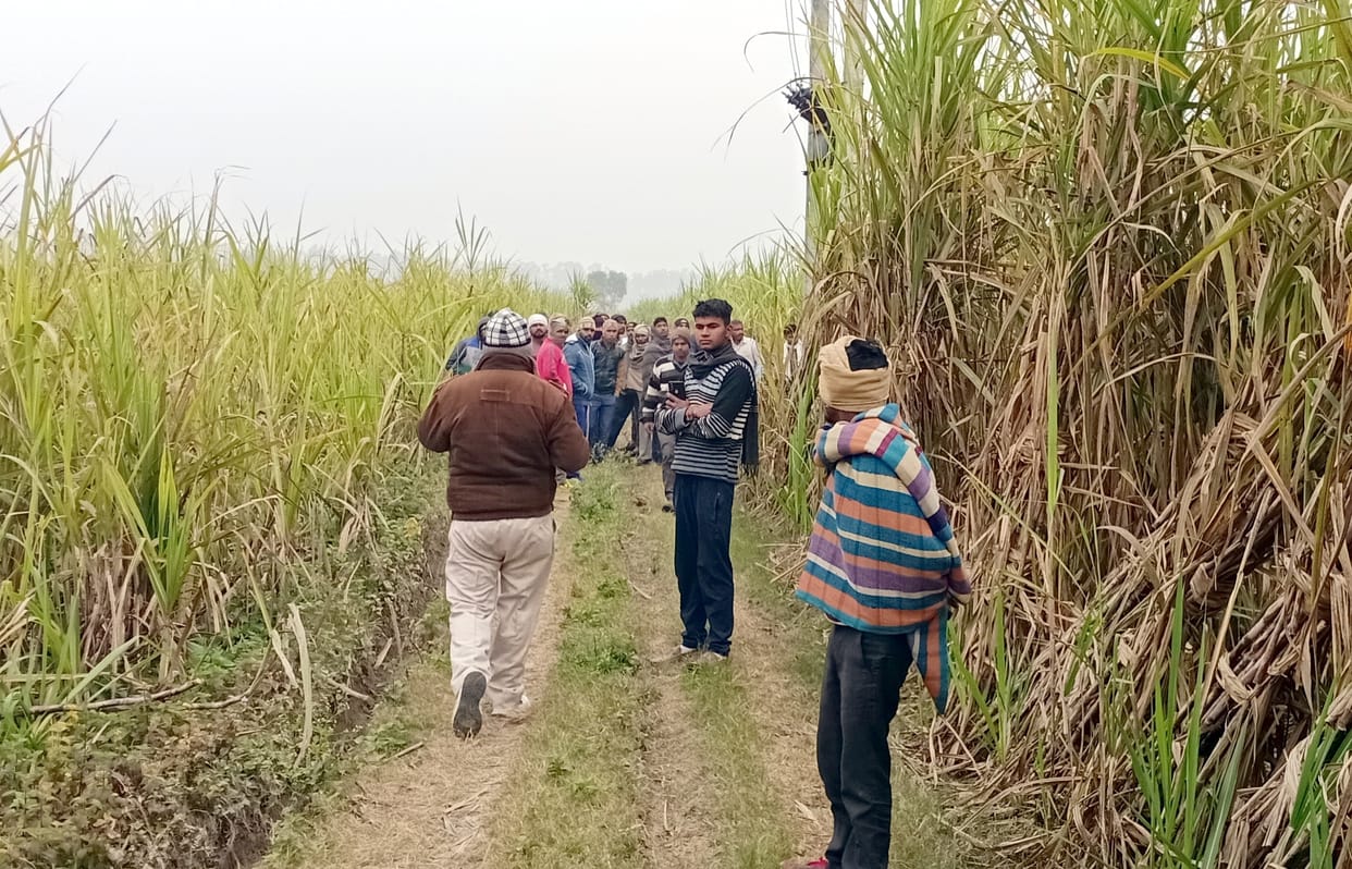 Guldar killed laborer in Mohandia village
