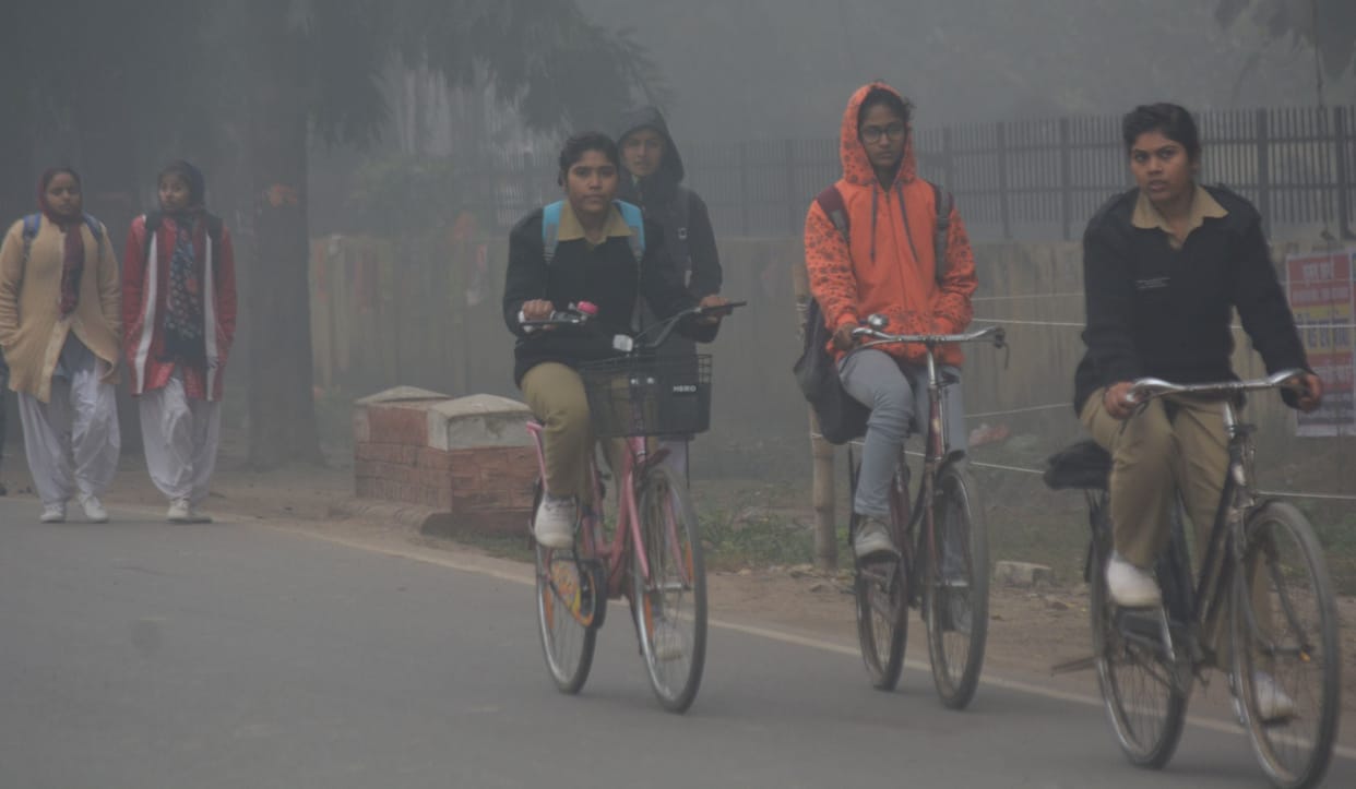 Incense remains ineffective, cold havoc continues