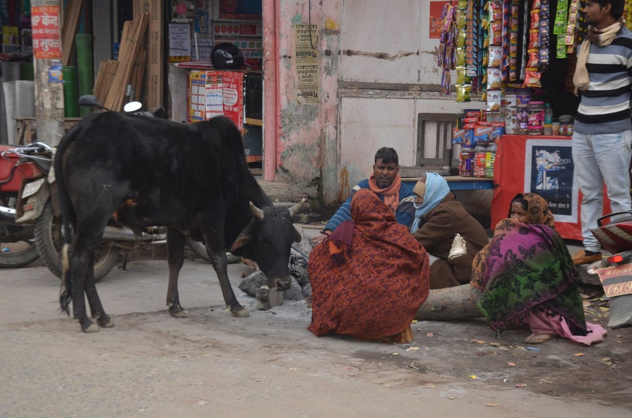 Mercury stable, people shivering with cold wave