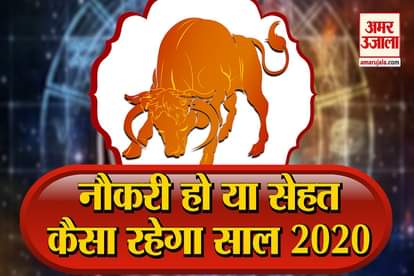 Taurus Horoscope 2020: Know What your zodiac sign this year