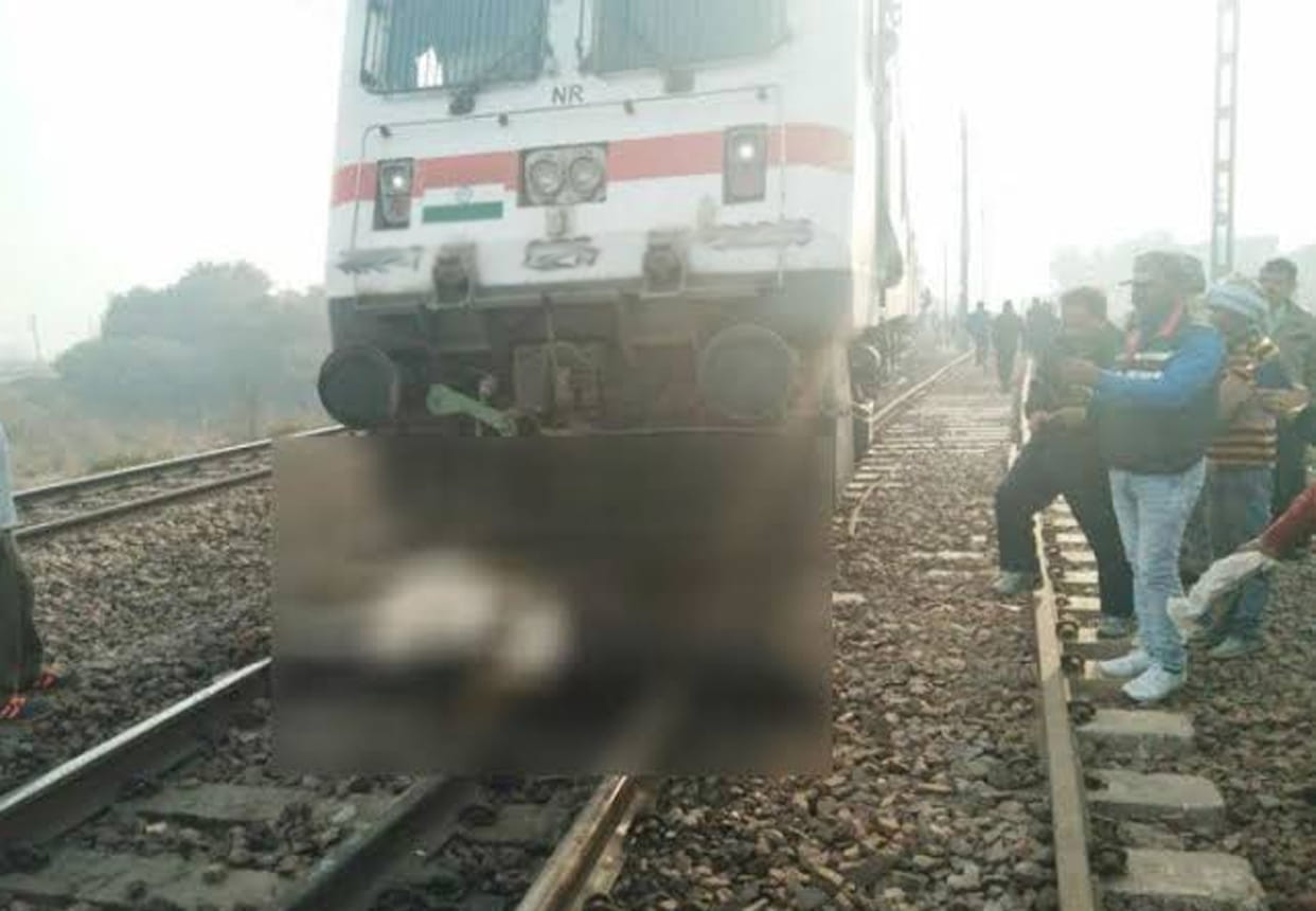 three cattle died due to hit by train in chitrakoot two injured