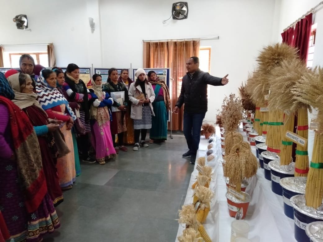 Many information given including making organic manure