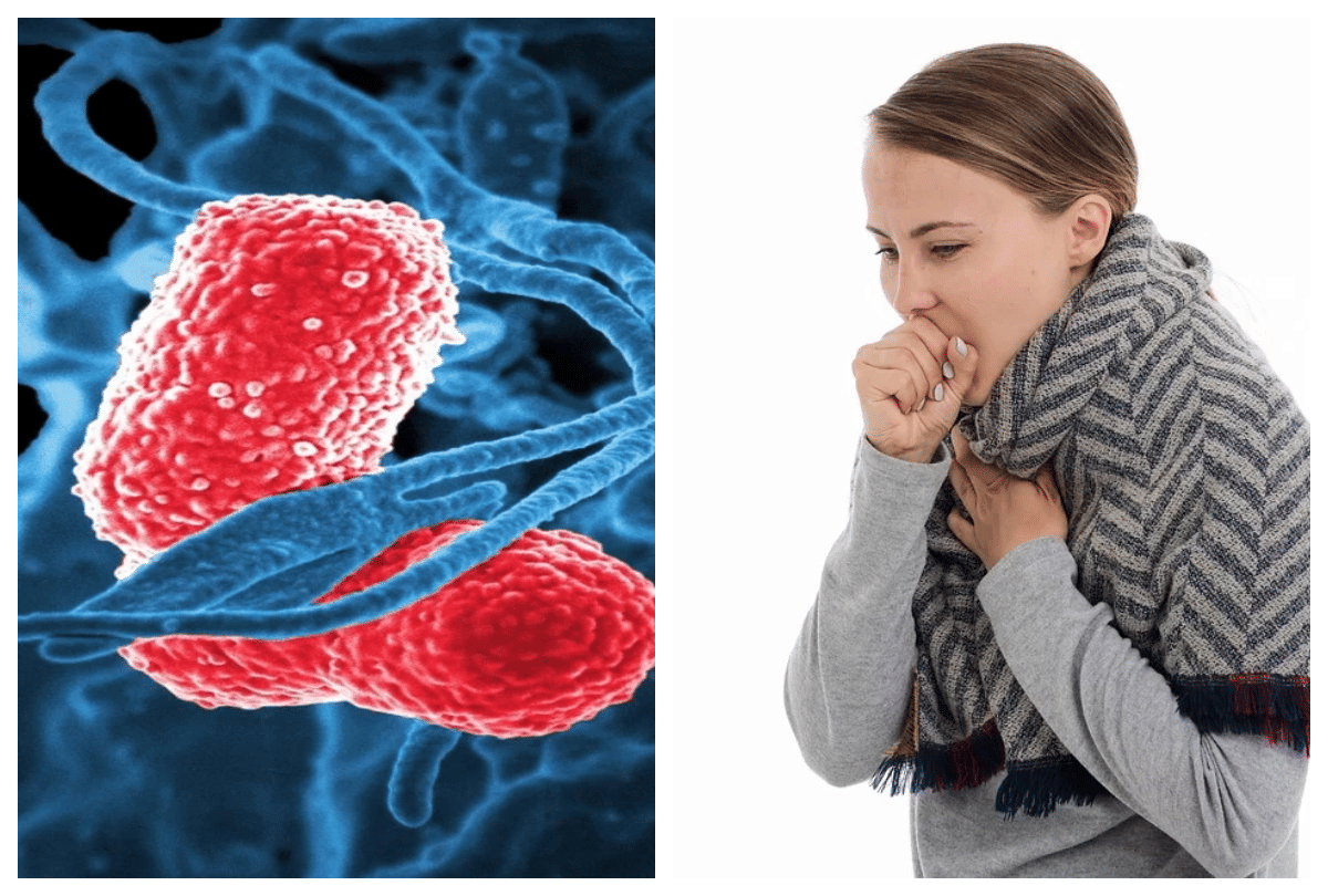 Pneumonia Symptoms diagnosis in winter