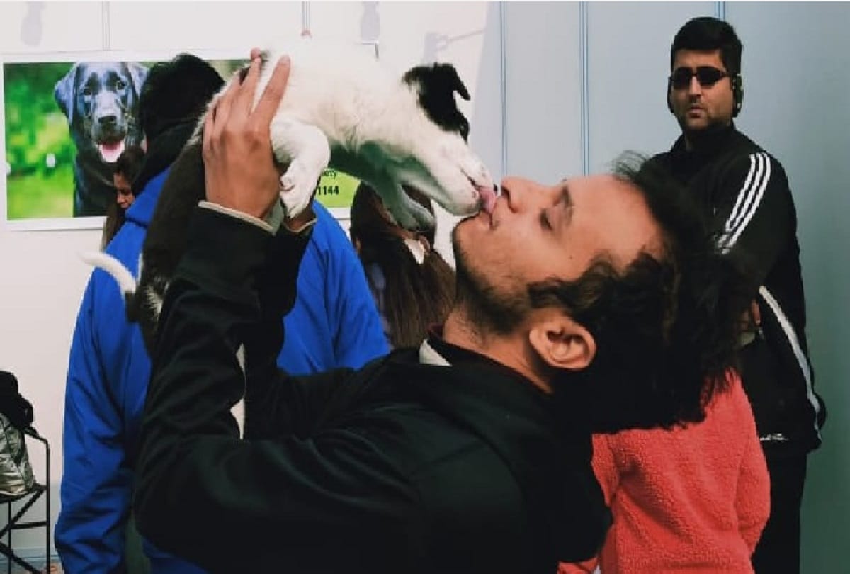Crowd of animal lovers gathered at the pet festival in delhi