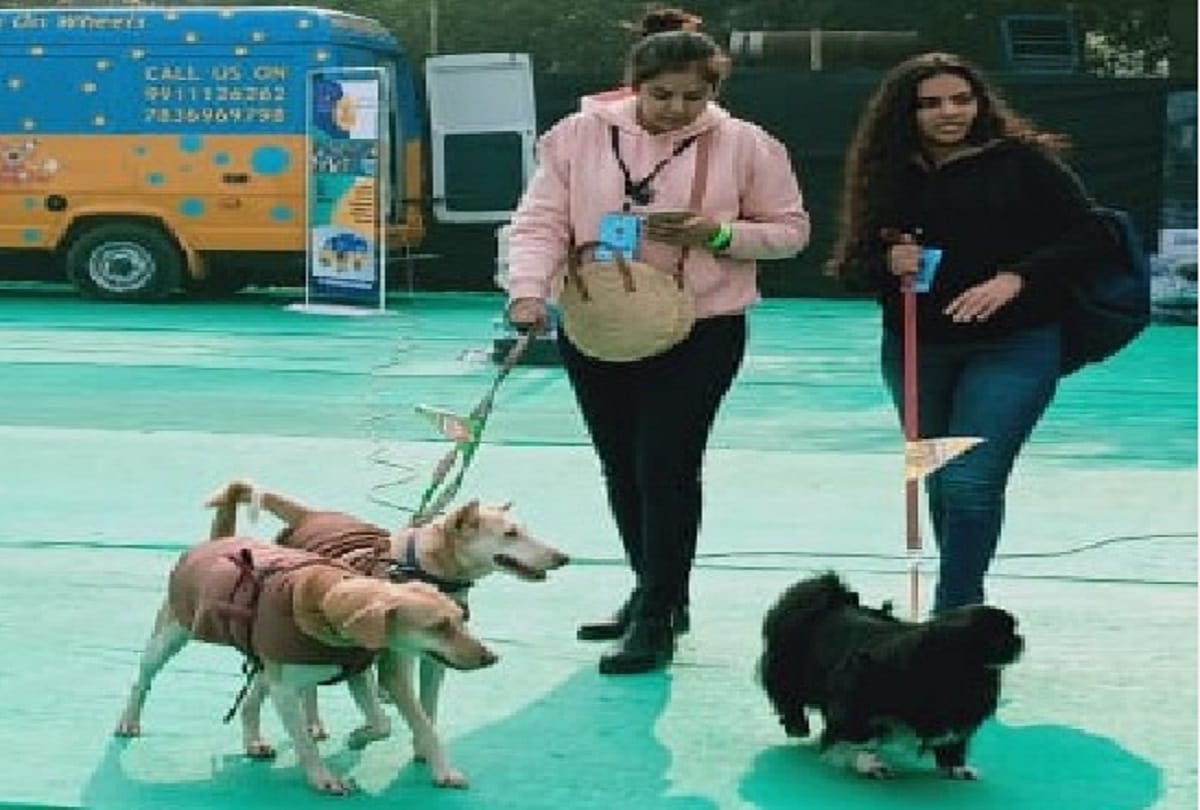 Crowd of animal lovers gathered at the pet festival in delhi