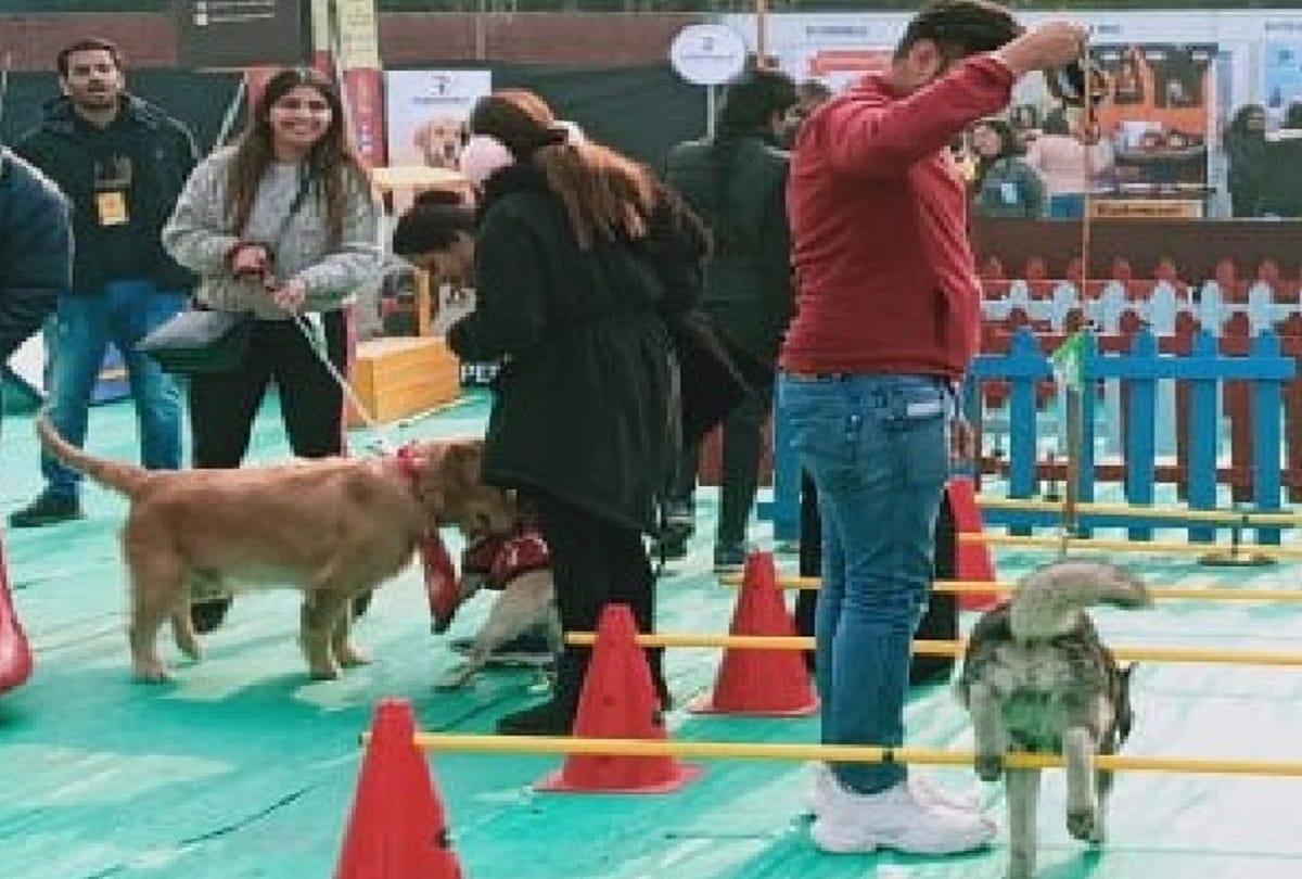Crowd of animal lovers gathered at the pet festival in delhi
