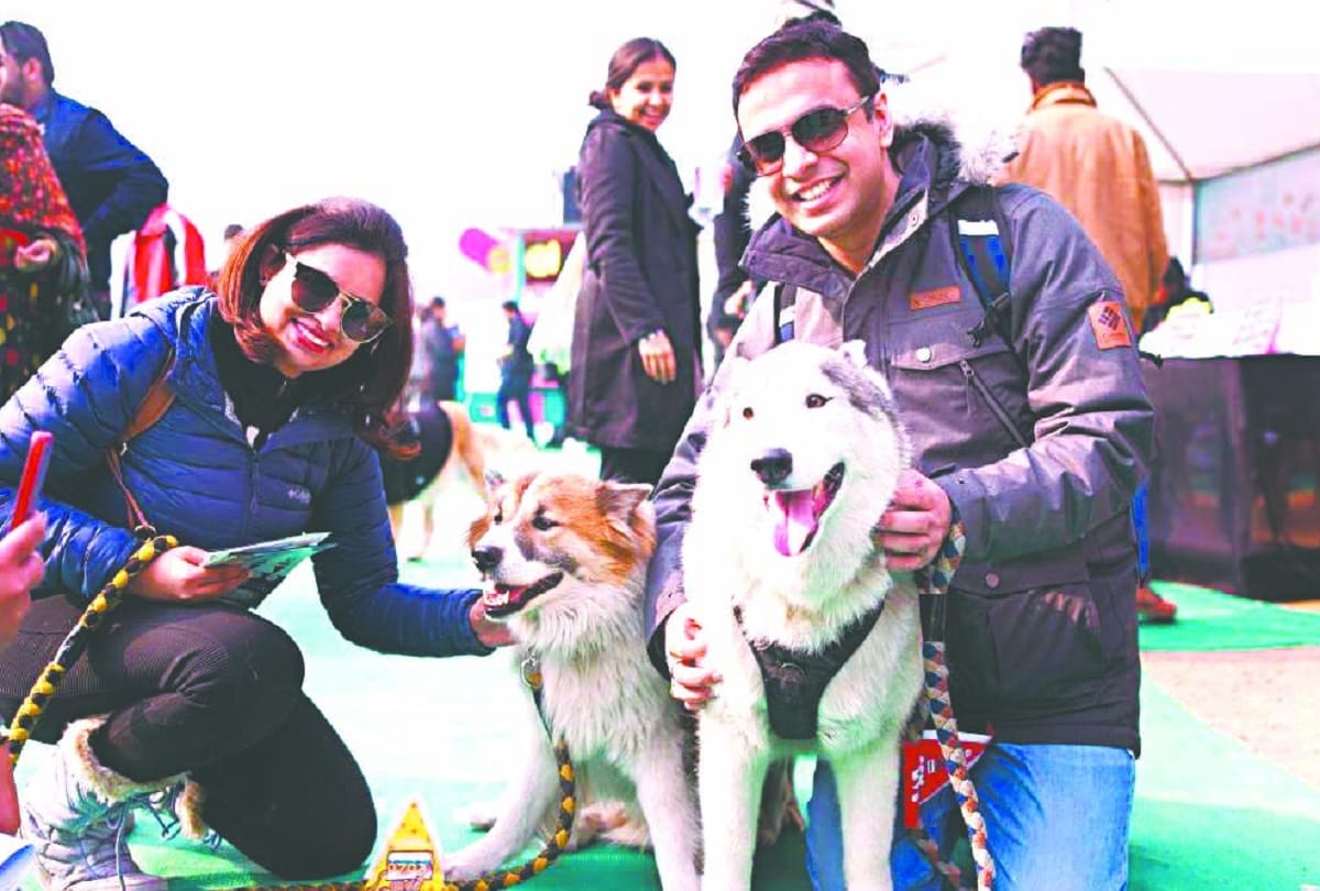 Crowd of animal lovers gathered at the pet festival in delhi