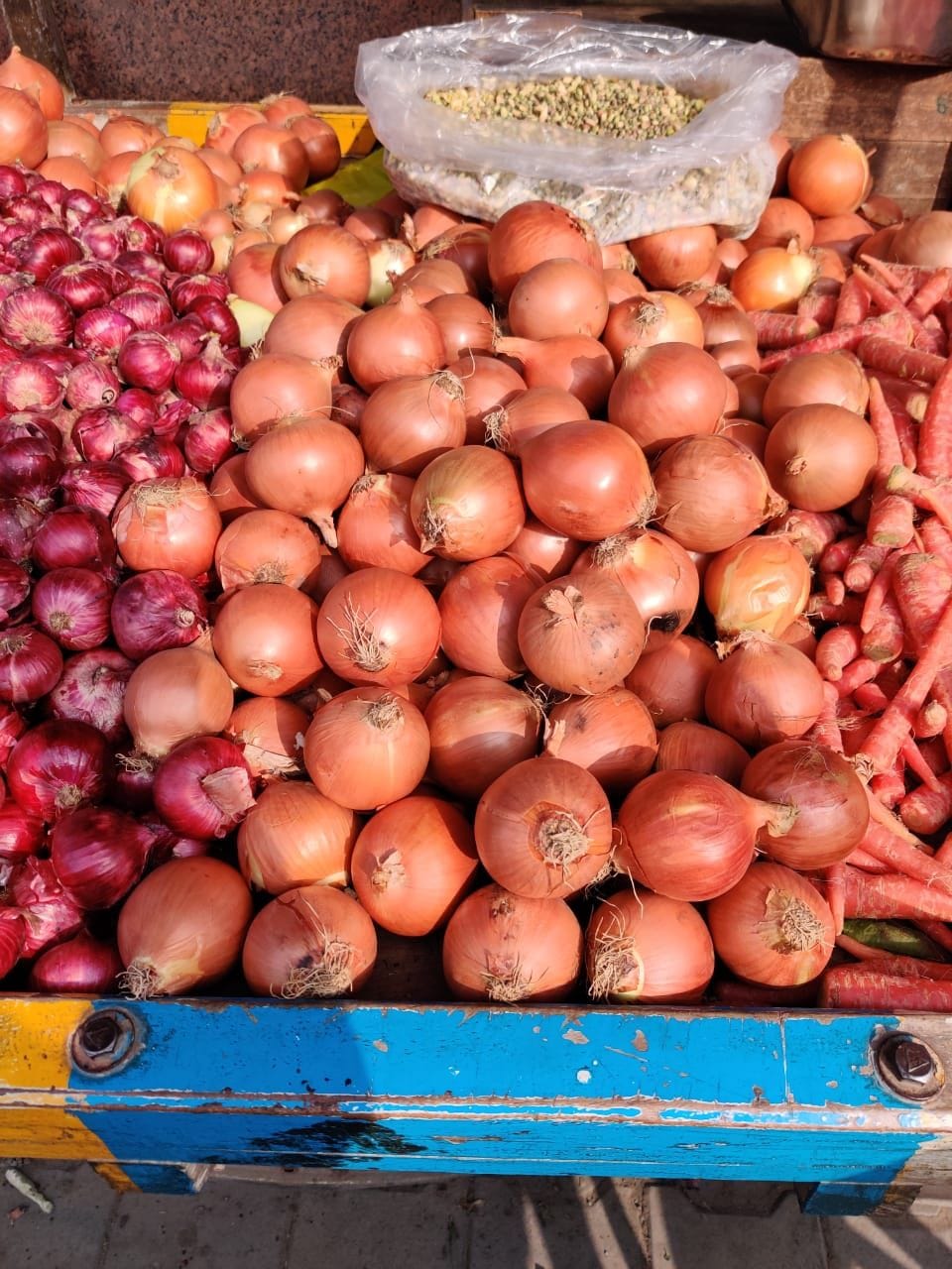 Afghani onion falls to Rs 40 per kg, fatehabad