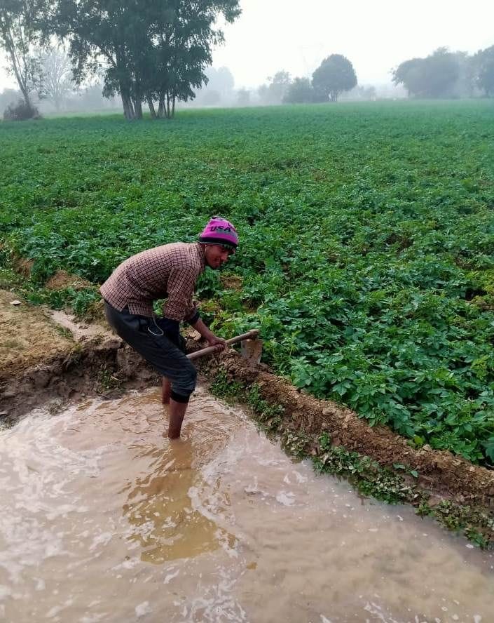 saat ghante bijalee katautee se raat mein seench rahe phasal