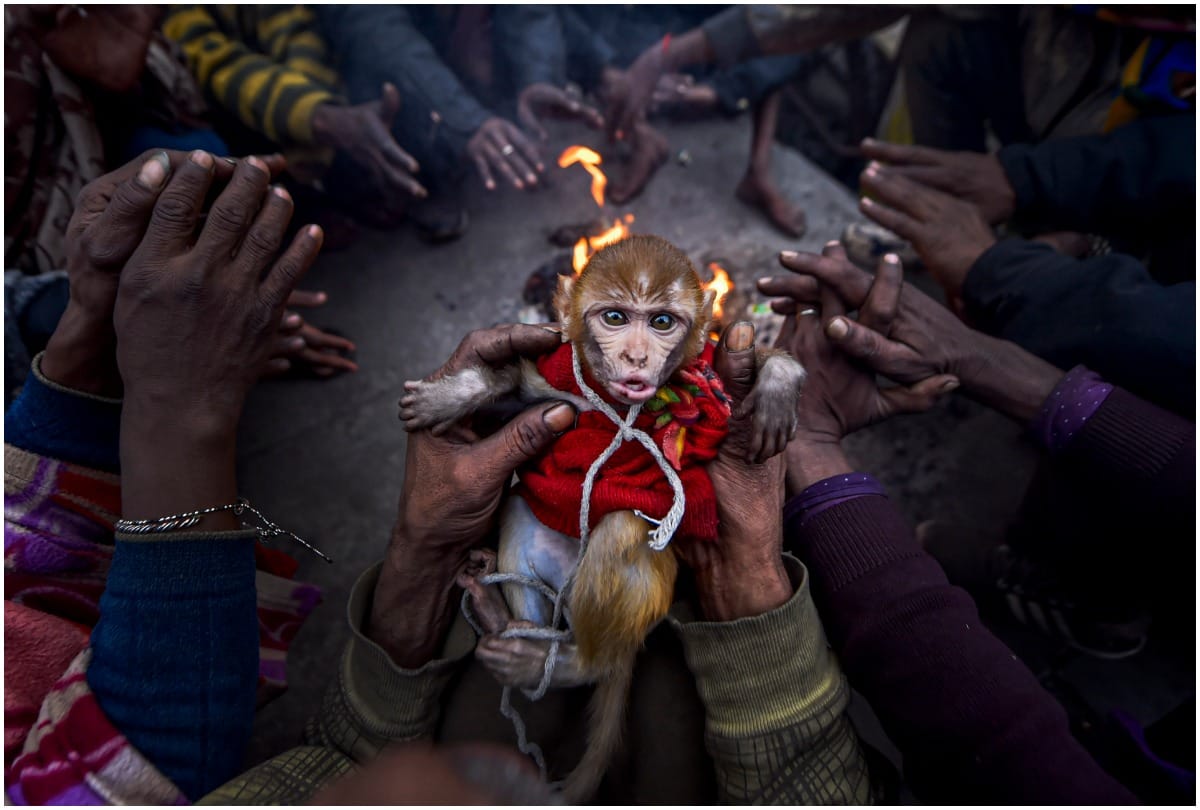 Delhi Suffering from heavy cold, Temperature fall over two degree Celsius