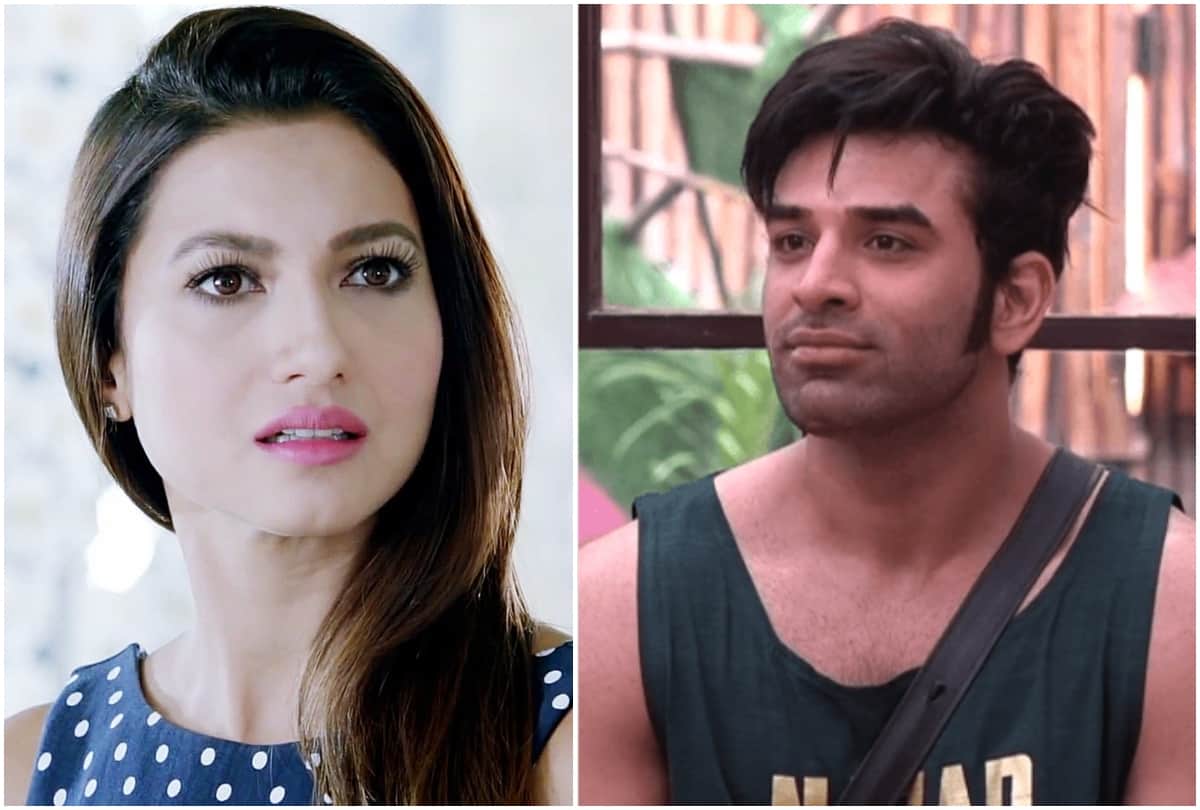 Gauhar Khan lashes out on Paras Chhabra commenting on Himanshi Khurana Asim Riaz
