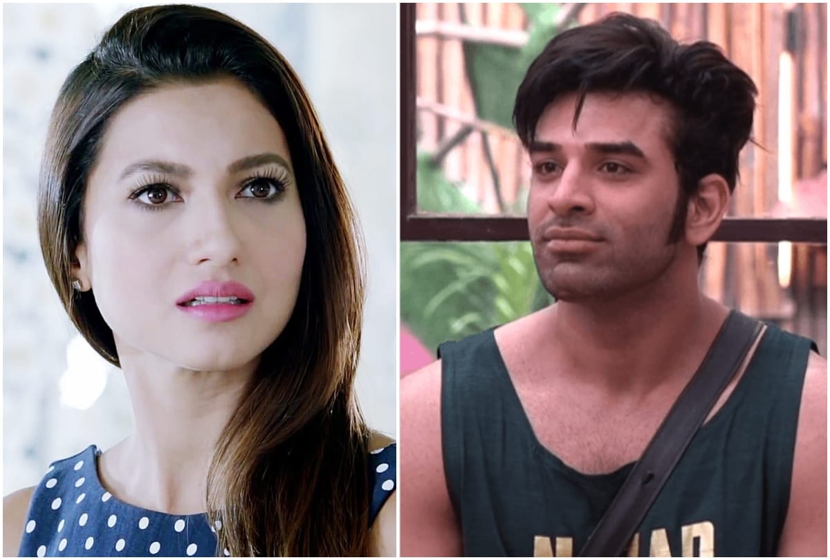 Gauhar Khan lashes out on Paras Chhabra commenting on Himanshi Khurana Asim Riaz