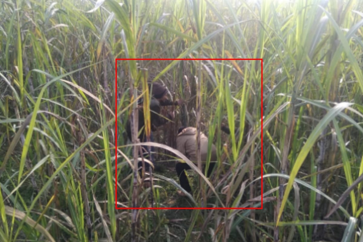 leopard attacked the farmer working on the farm in Bijnor