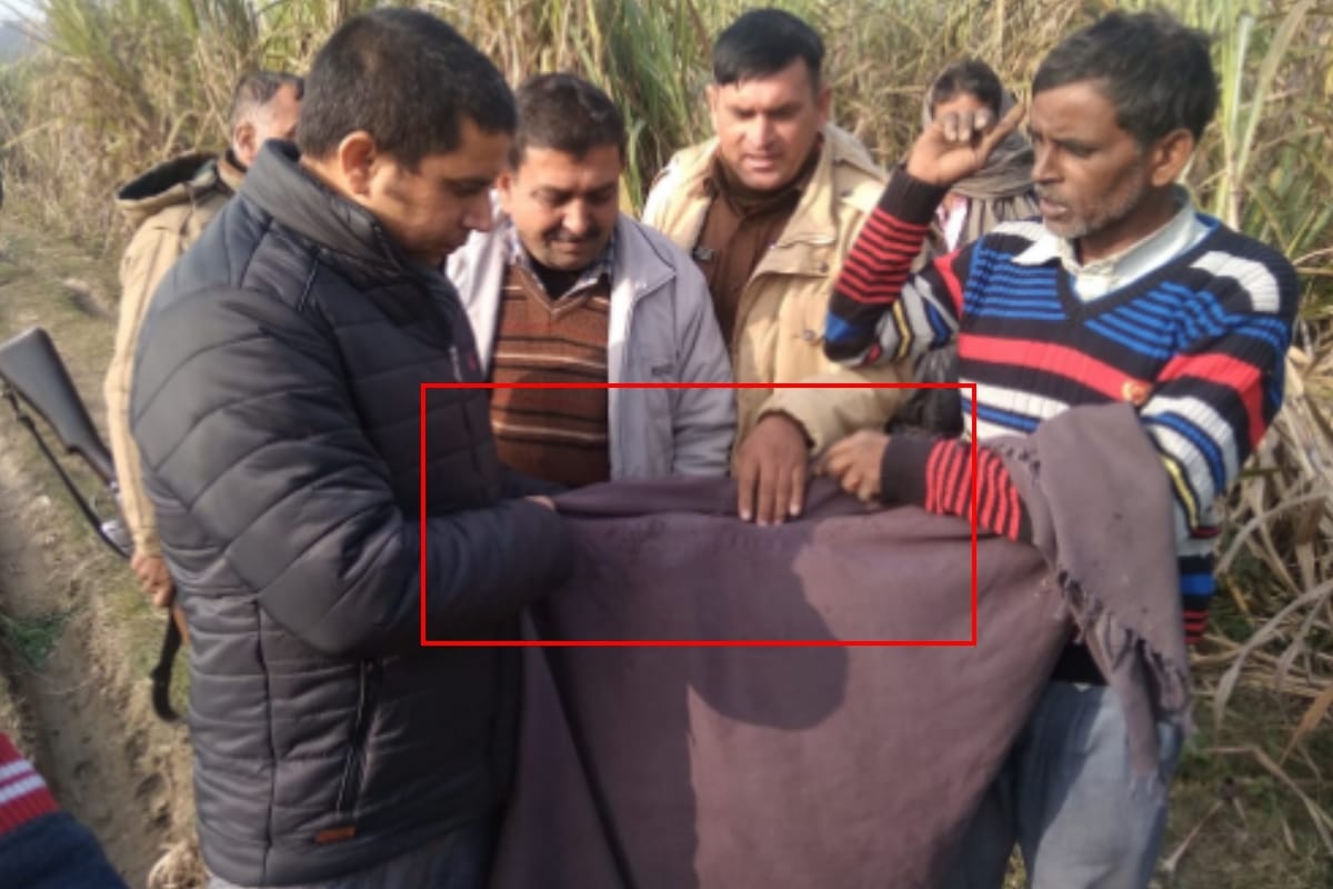 leopard attacked the farmer working on the farm in Bijnor