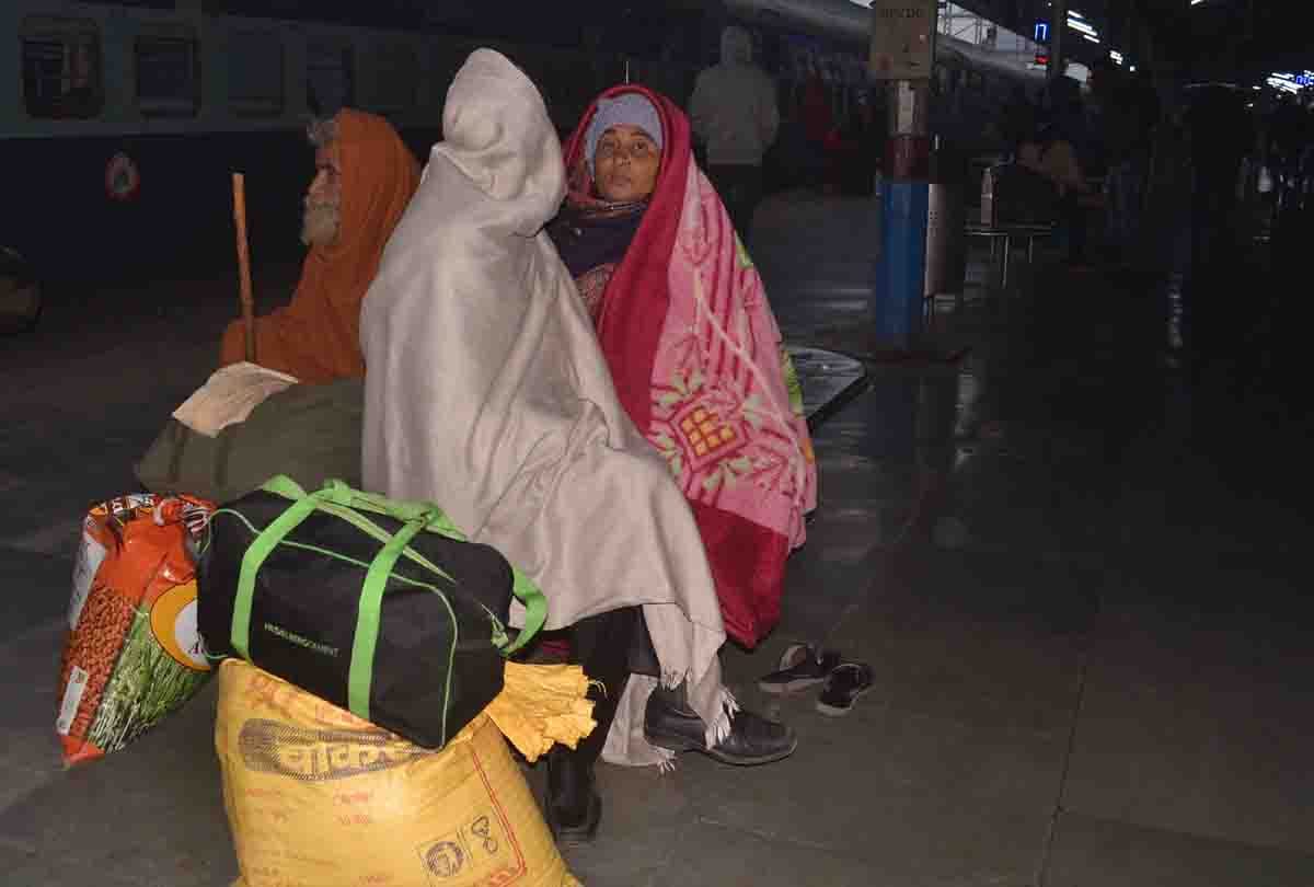 21 patients died due to cold